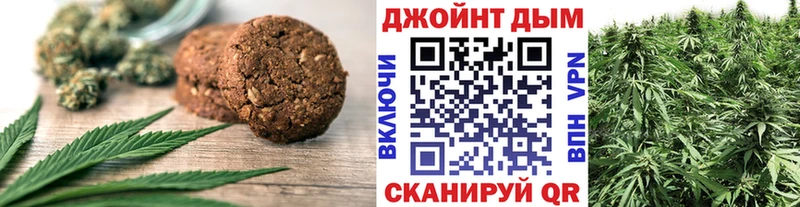 mega   Вышний Волочёк  Cannafood марихуана 
