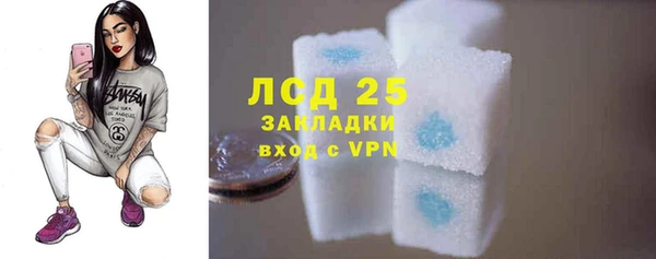 стафф Алексин