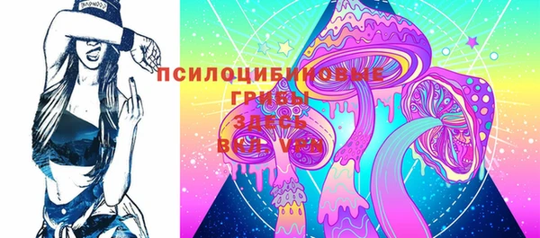 стафф Алексин