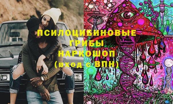 крисы Алзамай