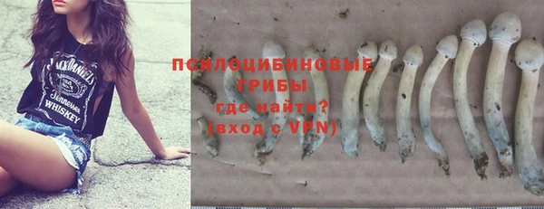 крисы Алзамай
