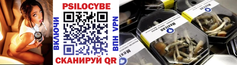 Псилоцибиновые грибы Cubensis ОМГ ОМГ как войти Вышний Волочёк продажа наркотиков